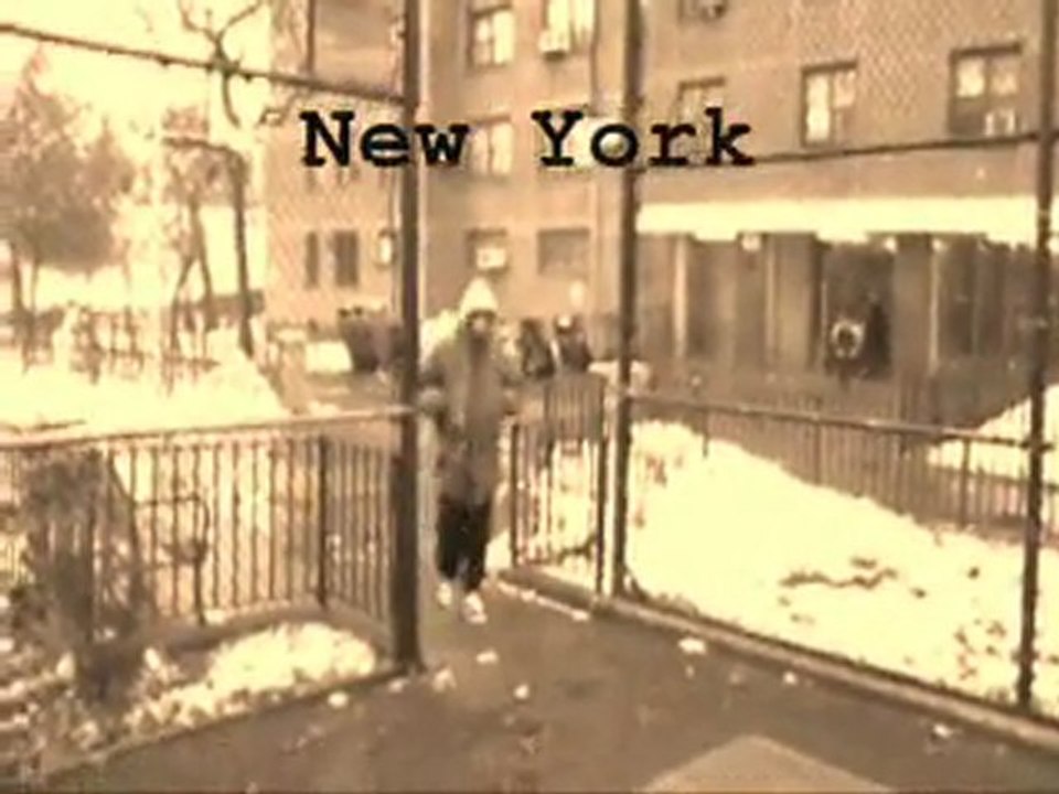 darez freestyle international