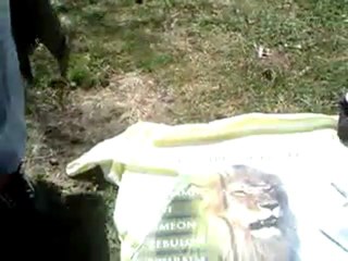 The LORD is Constantly Jabing the Earth With Earthquakes