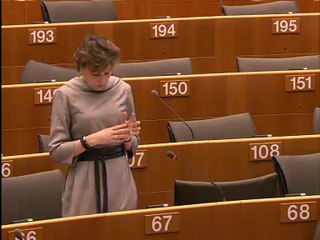 Anneli Jäätteenmäki on Explanations of vote (II)