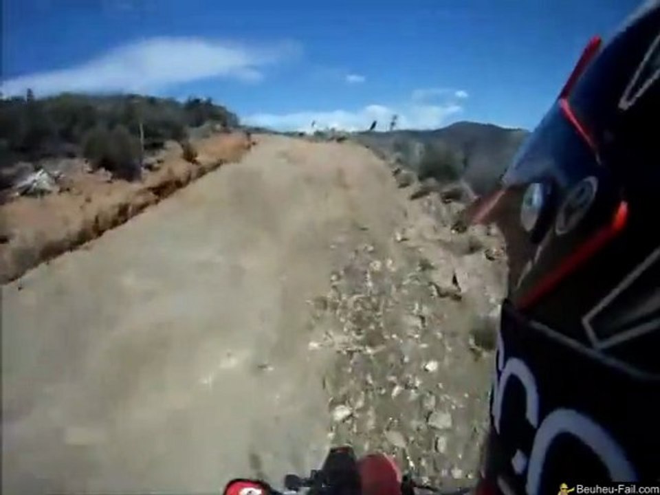 Une branche dans la joue