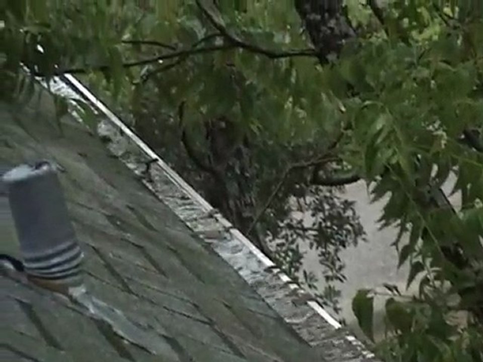 Houston Home Inspector: Standing Water In Rain Gutters