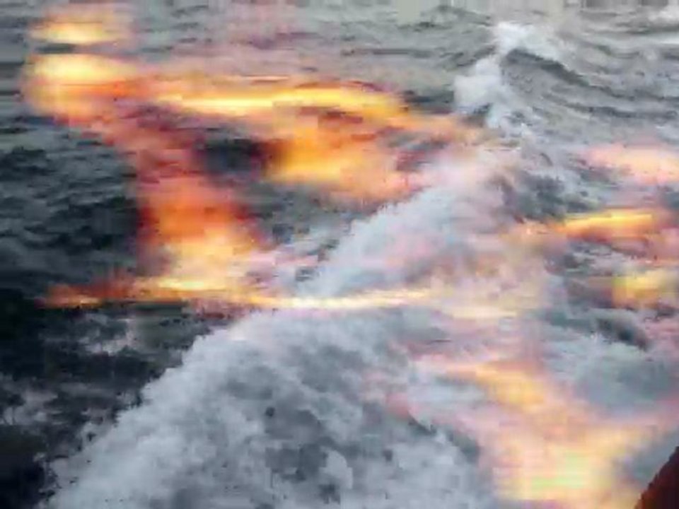 Üsküdar - Eminönü • Sirkeci / İstanbul