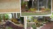 Water landscaping/ fountains/ ponds/ waterfalls/ Plantation