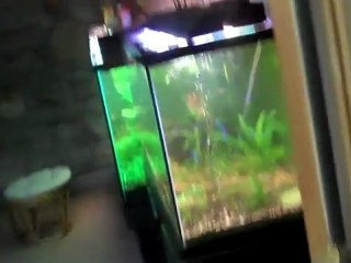 What Kind of Aquarium Filters do you use?