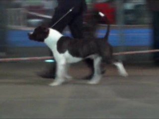 d'labotane ultimo junior du domaine de zeus montlucon 2011