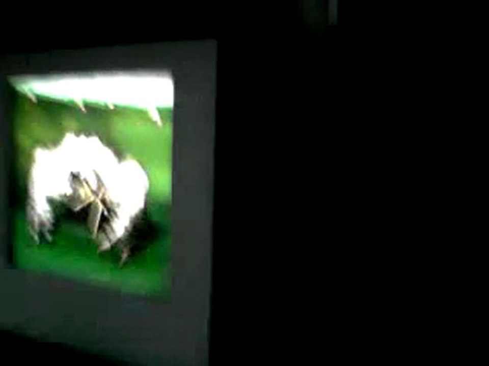 Video0007