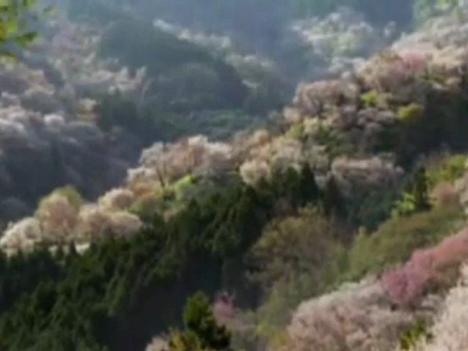 Yolcular allahu allah ilahi