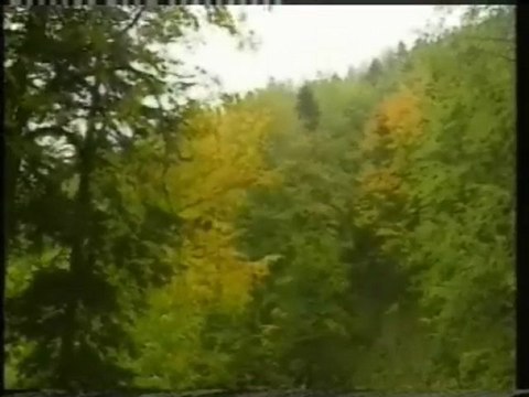 Gebze Mustafa Paşa İlköğretim Okulu Orman Haftası