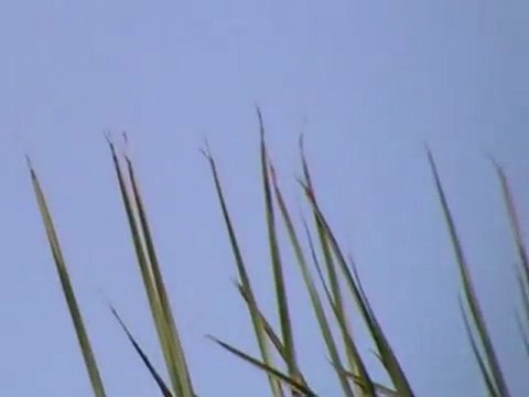 Ovni, UFO, 27 de Marzo del 2011, Col, Providencia, Guadalaja