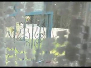 KISA BİR ASKERLİ FİLM ÇALIŞMASI (DENEME) - Akayfilm.net