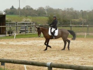 Gaëlle sur Jalap.amateur 3 A.27 mars 2011.dressage Laval