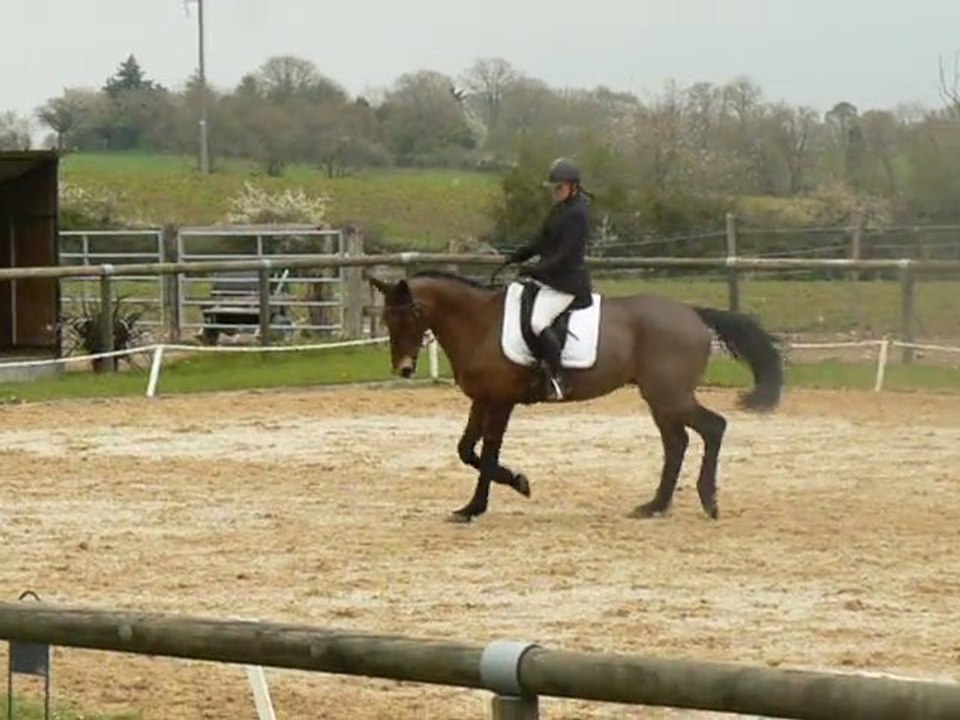 Gaëlle sur Jalap.amateur 3 A.27 mars 2011.dressage Laval