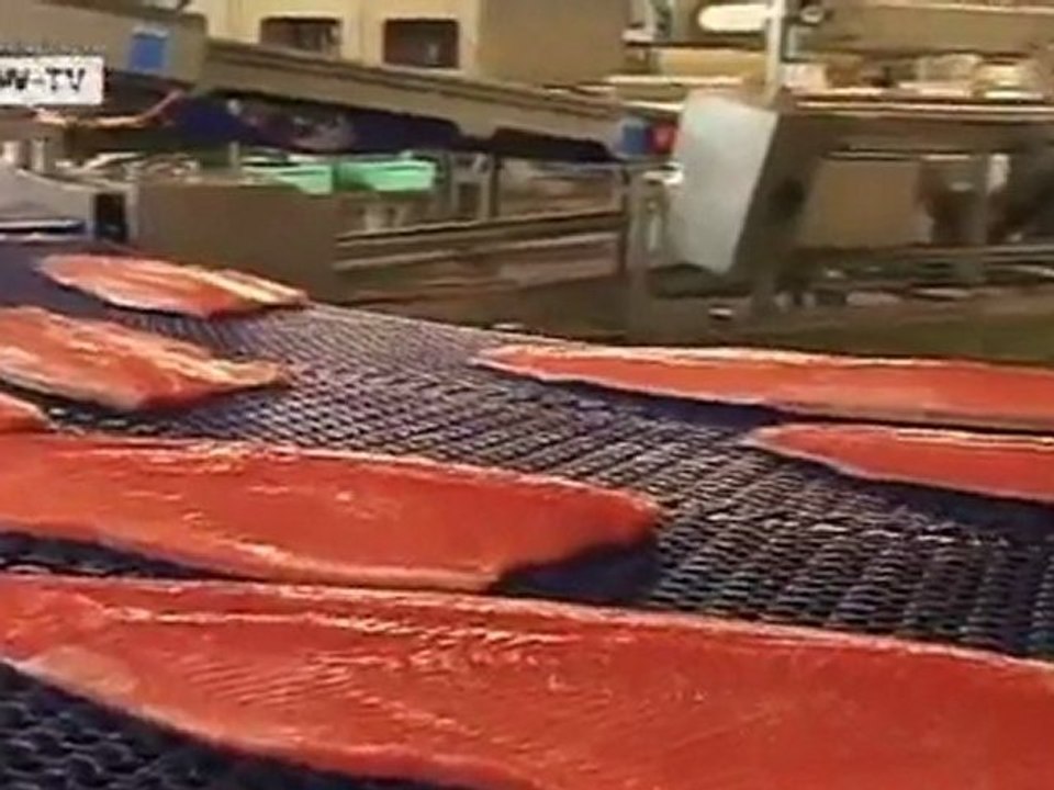 Global Count: Fish Consumption | Global 3000