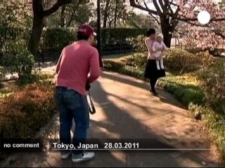 Fête du Hanami au Japon - no comment
