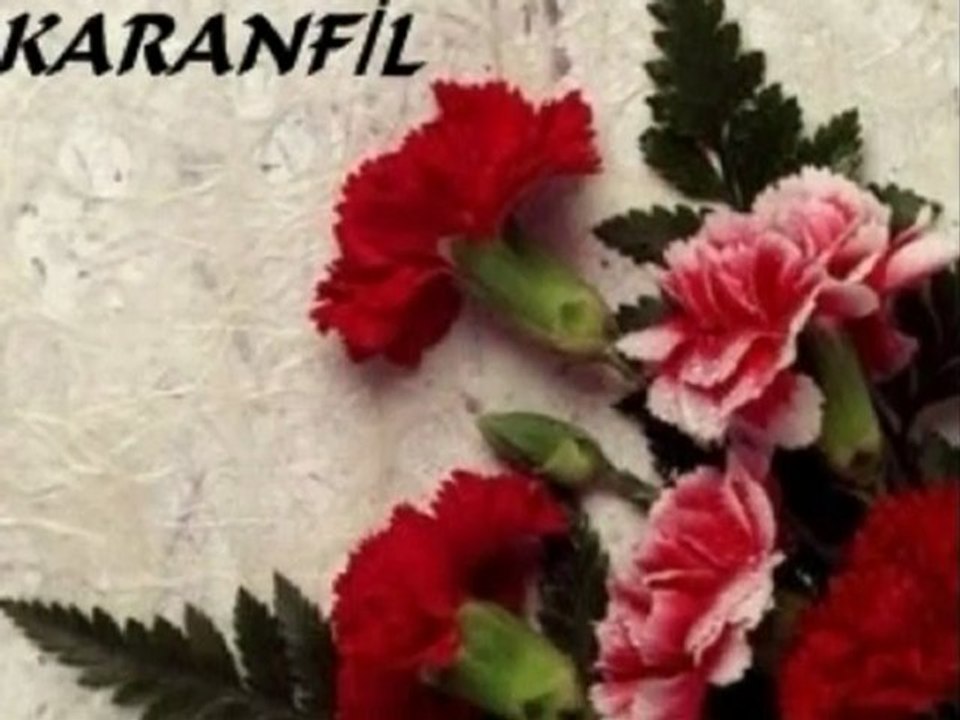 Mustafa Göçmez Ağlama Karanfil