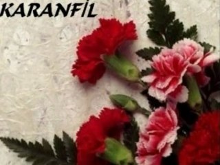 Mustafa Göçmez Ağlama Karanfil