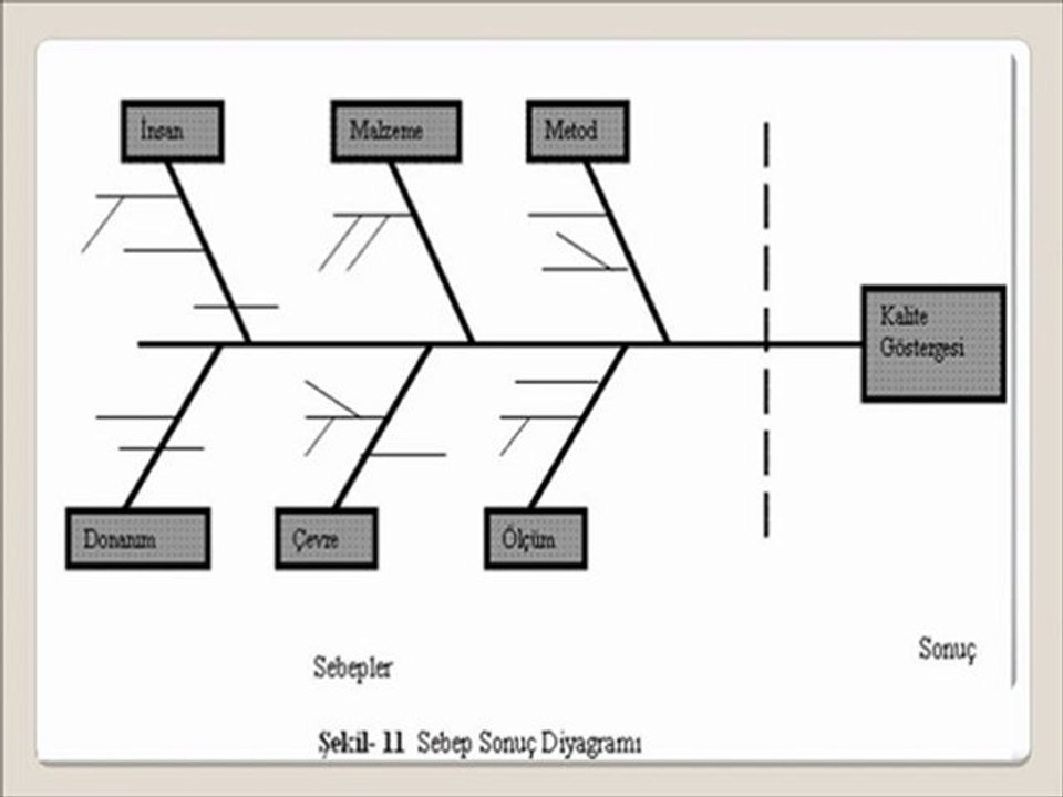 Balık Kılçığı ve Akvaryum Tekniği