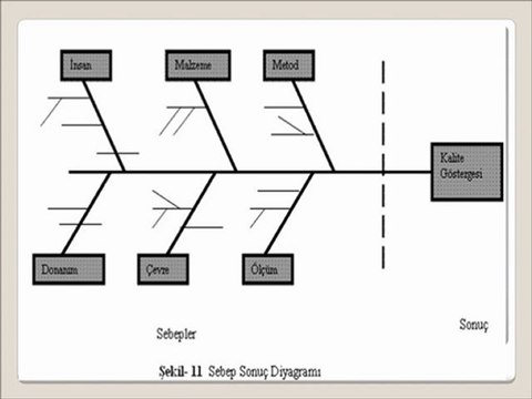Balık Kılçığı ve Akvaryum Tekniği