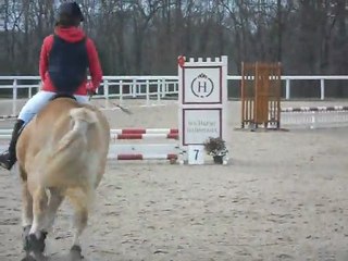 Concours d'entraînement du 20 mars au Lion d'Angers, Parcours de Flo et Mille or