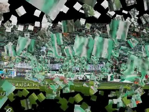 TIFOMIX GREEN ANGELS ASSE 14SEPT2009 DJ OMAR 07