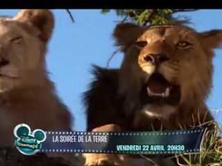 La Soirée de la Terre - le 22 avril à 20h30 sur Disney Cinemagic