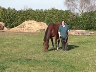 20.03.2011. Déplacement avec la 7m pour Mome