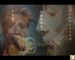 Lounis Aït-Menguellet - Tiγri n Tasa