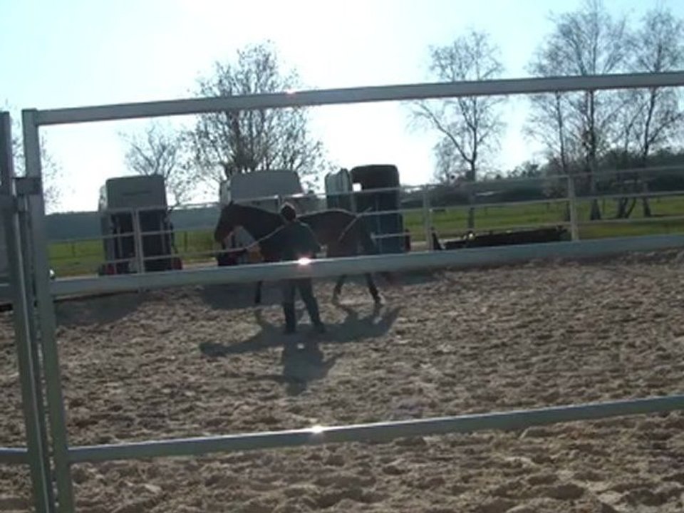 20.03.2011. Mome dans le rond de longe en liberte