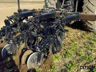 striptill_avant_betterave_mars2011