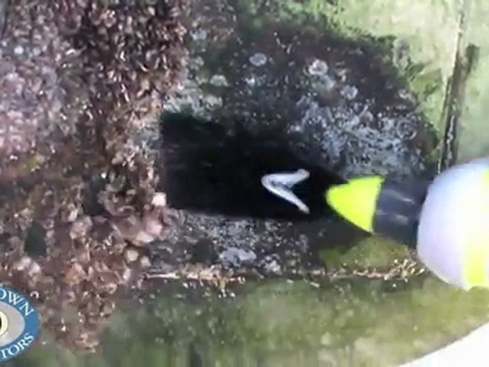 Waveblade Motor Mount Cleaning