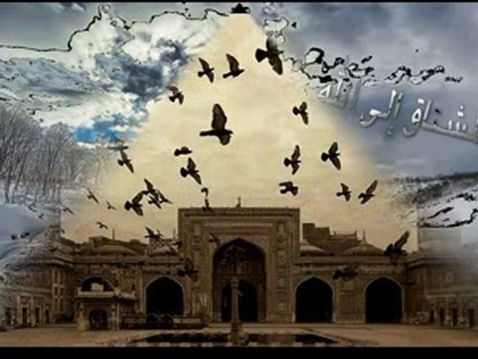 سورة البلد و الشمس لماهر المعيقلي