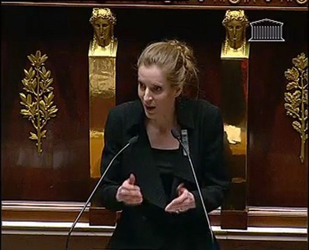 Débat Gaz de Schiste - réponse de la ministre de l'Environnement