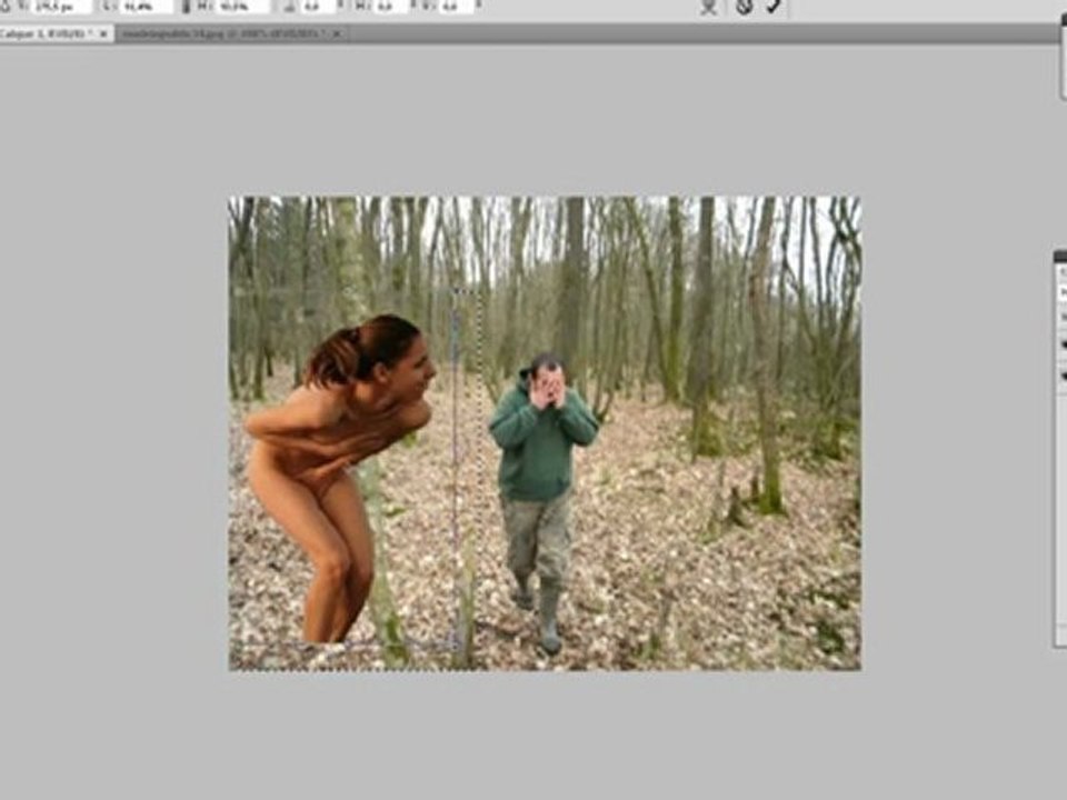 montage pour dom