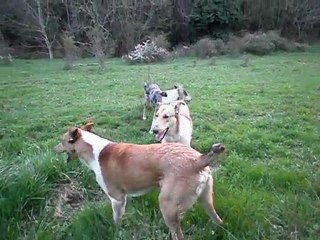 29-03-2011: "Attrape-moi... si tu peux!!"