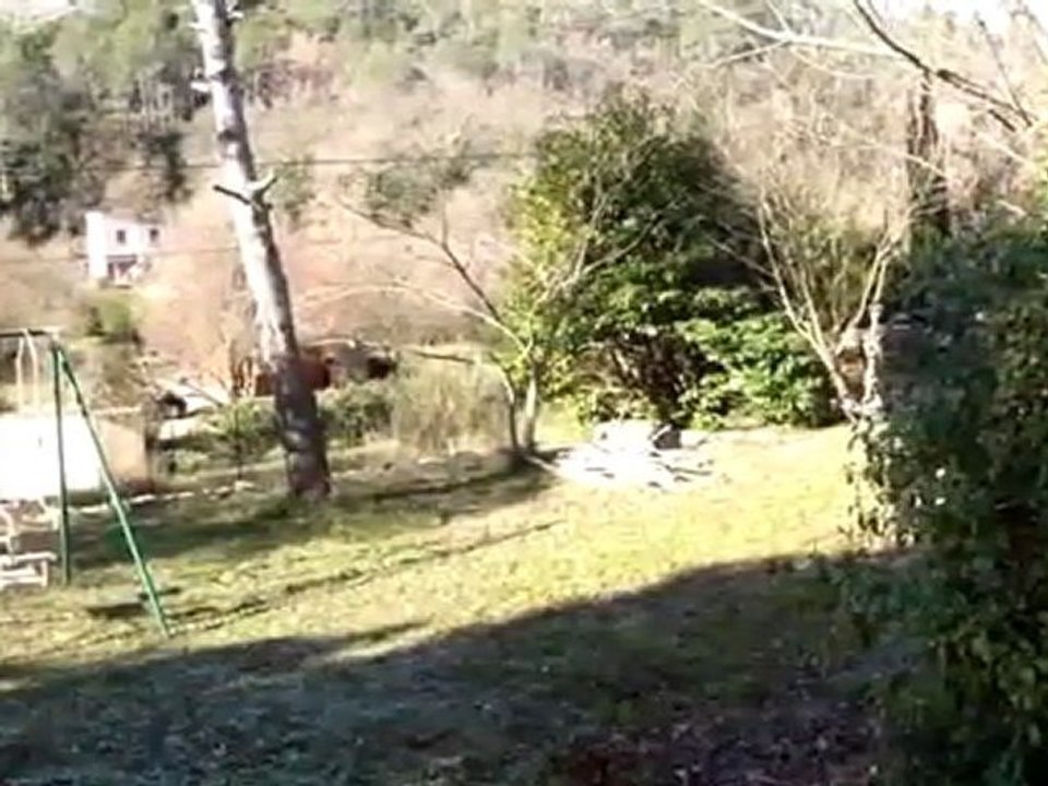 Villa à vendre à Meounes les Montrieux, sans agence entre particuliers Var 83