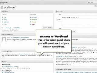 How to Install WordPress on Hostgator