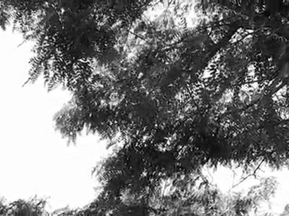 Sparta Test 001 - Mov H264 1280x720 25 FPS