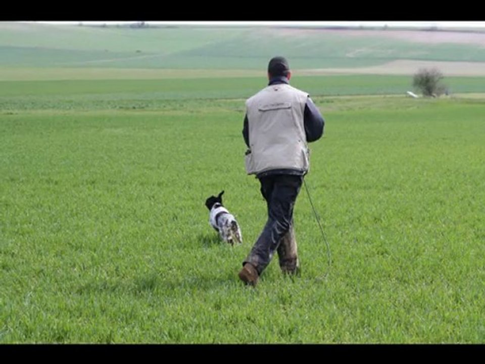 Field Trial Printemps 2011 Vimpelles