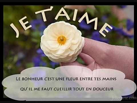 VİENS DANS MA VİE AJDA PEKKAN