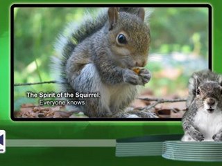 High quality transcription at affordable pricing