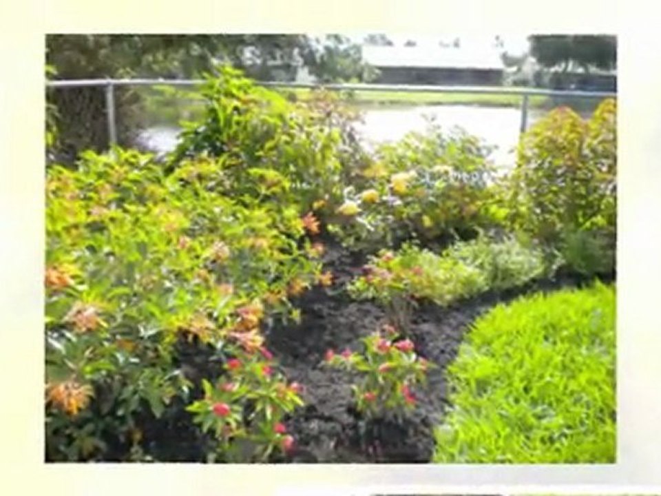 Cooper City FL Landscaping Guru/ Professional 954-224-5119