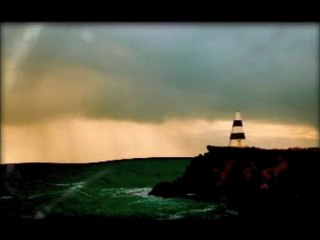 L'Inséparable "Le Fou de Bassan" (remix)