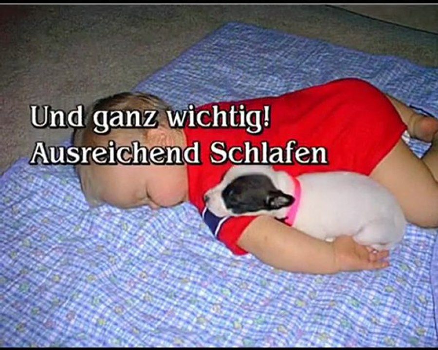 Videoprojekt 2011-04-01