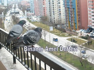 Binanın Amel Defteri