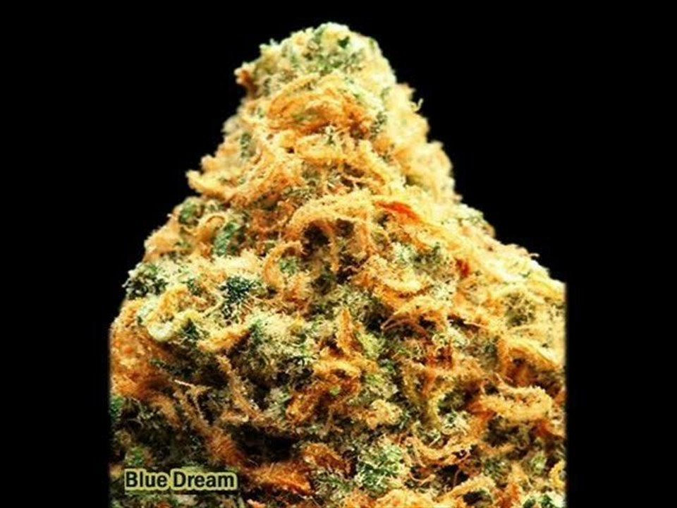 Sid Dolo - Rihanna - What's My Name (The Amnesia Kush Remix)