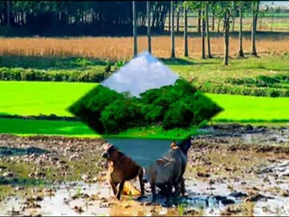 To Bangladesh Kewkradang Trek Package Holidays Dhaka Bangladesh