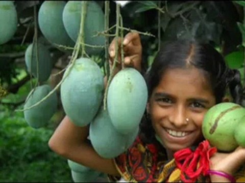 To Bangladesh Jamuna Day Tour Package Holidays Dhaka Bangladesh