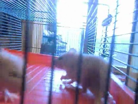 bébé Lilou 30mars2011