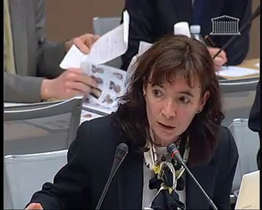 Audition de Pierrre Lellouche, secrétaire d'état