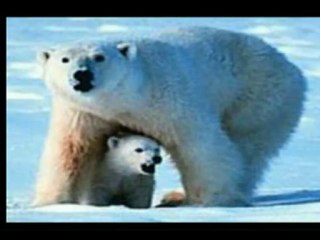 BU DÜNYA HEPİMİZİN...